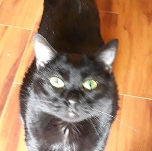 Meet your Posher, Christine